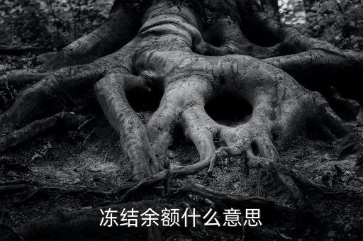 建設(shè)銀行凍結(jié)余額是什么意思，凍結(jié)余額什么意思