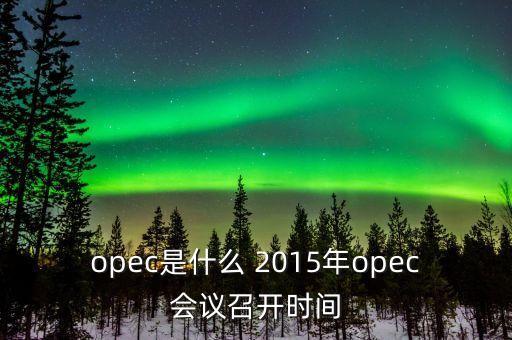 什么是opec會(huì)議，OPEC石油會(huì)議是什么時(shí)候召開(kāi)啊石油價(jià)格會(huì)受影響嗎