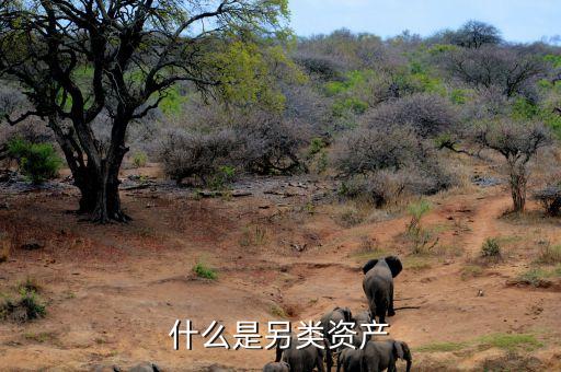 什么是另類投資，哪些項(xiàng)目屬于另類資產(chǎn)投資