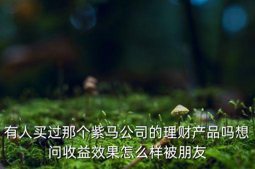 紫馬財富什么時間，有人買過那個紫馬公司的理財產品嗎想問收益效果怎么樣被朋友