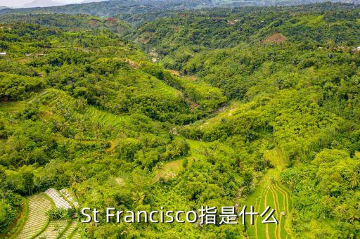 st戰(zhàn)略是什么，ST戰(zhàn)略是什么意思