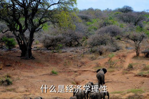 什么是市場理性，市場回歸理性是什么意思