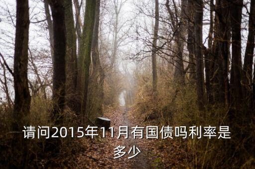 201511月發(fā)行什么國債，請問2015年11月有國債嗎利率是多少