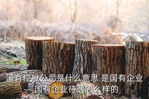 政府控股公司是什么，國有控股公司是什么意思 是國有企業(yè)  國有企業(yè)待遇怎么樣的