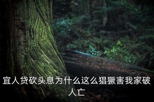 宜人貸為什么售罄，我的宜人貸為什么沒通過問題出在哪