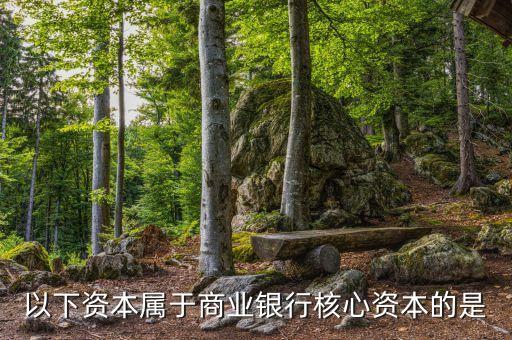 商業(yè)銀行核心資本是什么，商業(yè)銀行的核心資產(chǎn)包括哪些謝謝