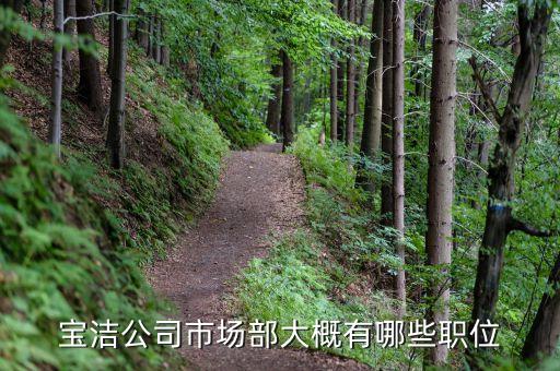 材料專業(yè)去寶潔一般是什么職位，我現(xiàn)在是大二 讀材料化學(xué)專業(yè) 兼行政管理的雙學(xué)位 想進(jìn) 寶潔公司 該做