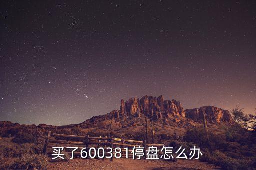 600381為什么被st，買了600381停盤怎么辦