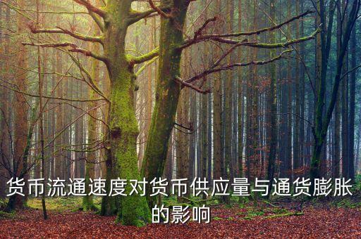 貨幣流通速度受什么影響，貨幣的流通速度和什么有關系