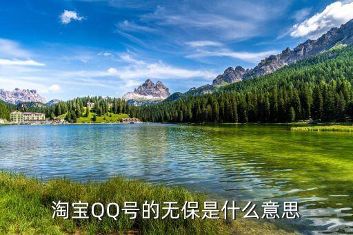 淘寶不保單是什么意思，在淘寶網(wǎng)的的QQ無(wú)保是什么意思啊