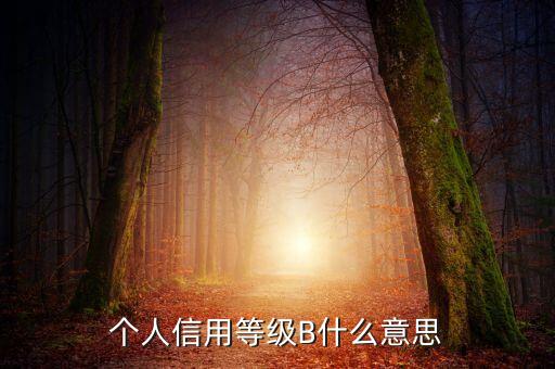 征信報(bào)告b級(jí)什么意思，中國人民銀行信用卡信用報(bào)告B級(jí)綜和評(píng)分837分啥意思