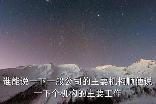 什么是非職工代表，請問我們公司之前是有兩名股東分別任命一人為總經(jīng)理執(zhí)行董事