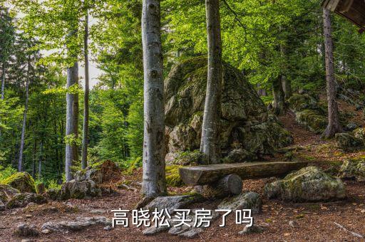 高曉松為什么不買房，高曉松買房了嗎