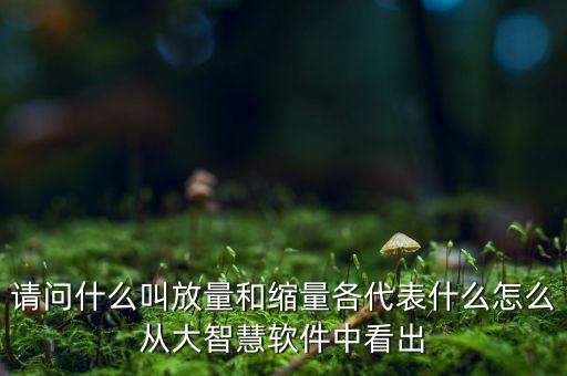什么是放量和縮量圖片，請問什么叫放量和縮量各代表什么怎么從大智慧軟件中看出