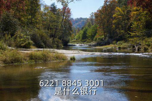 1807是什么銀行的，6217998700001600868是什么銀行的