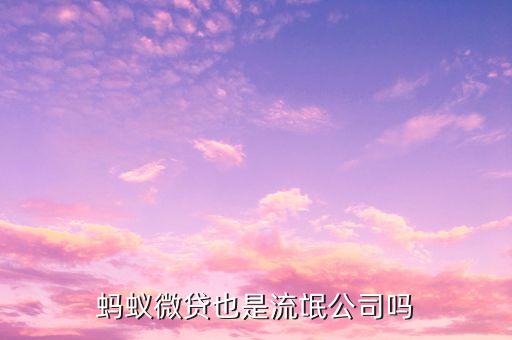 大數(shù)貸是什么，大數(shù)金融貸款20萬分兩年總還款額26萬多年利率是多少