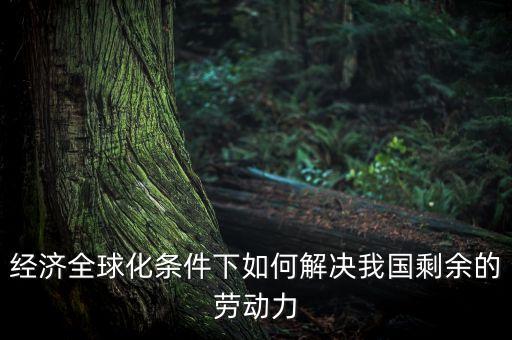 發(fā)達(dá)國家為什么要援助發(fā)展中國家，經(jīng)濟(jì)全球化條件下如何解決我國剩余的勞動(dòng)力