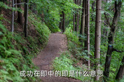 成功在即是什么意思，成功在即的即什么意思