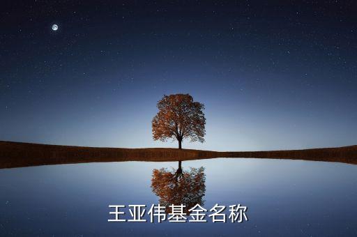 王亞偉的基金叫什么，王亞偉私募基金名稱(chēng)