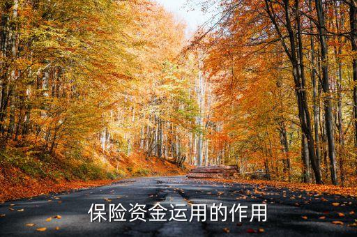 保險資金運用余額什么意思，保險每年的資金運用余額具體是什么