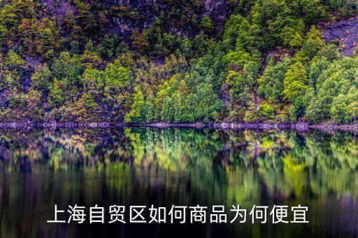 上海自貿(mào)區(qū)買什么便宜，上海購(gòu)物什么商品比較便宜