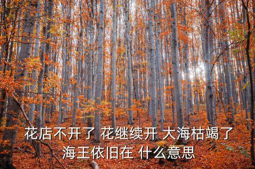  花店不開了 花繼續(xù)開 大?？萁吡?海王依舊在 什么意思