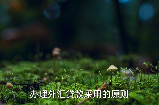 貸款三查指什么，銀行貸款三查不嚴(yán)能使貸款合同無效嗎