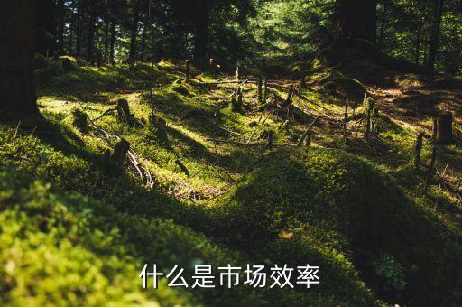 外匯市場效率理論是什么，介紹一些實用基礎(chǔ)精僻的經(jīng)濟學(xué)著作