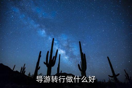 導游轉行做什么好，導游轉行做什么好