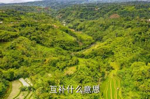 什么是農(nóng)光互補，互補什么意思
