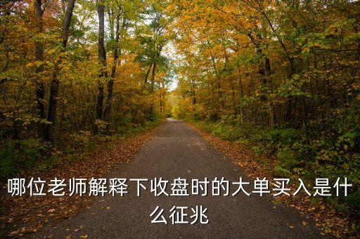 股票收盤時(shí)巨量買入什么信號，哪位老師解釋下收盤時(shí)的大單買入是什么征兆