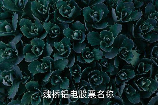 宏橋跟魏橋什么關(guān)系，宏橋中學怎么退學費