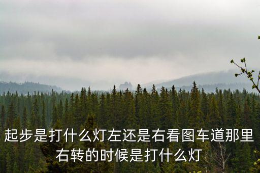 駕駛打右燈和左燈什么意思啊，起步是打什么燈左還是右看圖車道那里右轉(zhuǎn)的時候是打什么燈