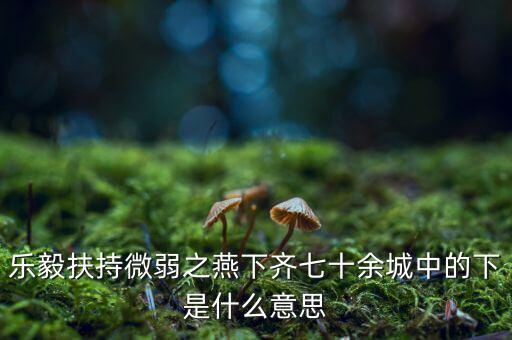 什么是進(jìn)口替代戰(zhàn)略，樂毅扶持微弱之燕下齊七十余城中的下是什么意思