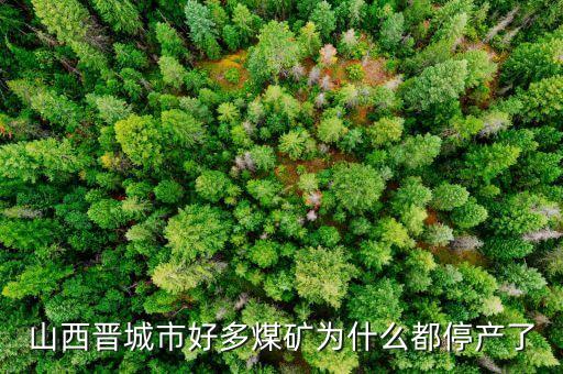 為什么礦山現(xiàn)在停產(chǎn)，為什么現(xiàn)在的礦業(yè)幾乎全部停產(chǎn)