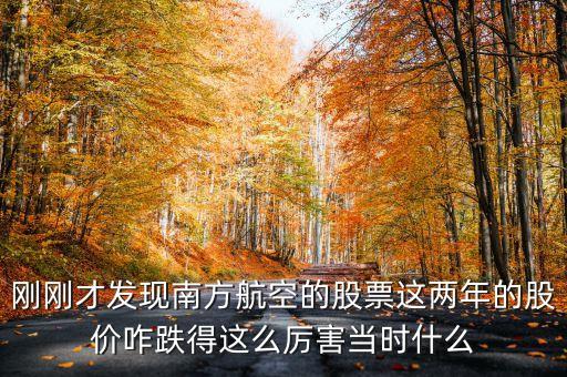 南航美股是什么意識，海南航空股票前帶lr300什么意思