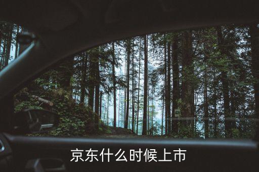 京東什么時間上市，京東什么時候上市
