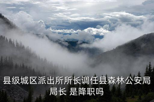 沈仁康為什么調(diào)任，淮安市委書記被調(diào)離