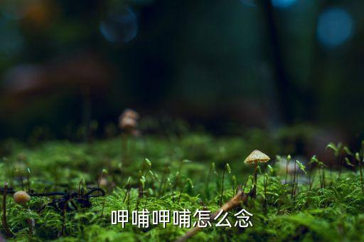 呷哺什么意思，呷哺呷哺怎么念
