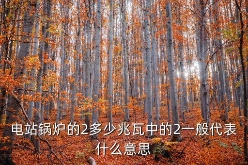 電站兆瓦什么意思，兆瓦是哪一個(gè)物理量的單位發(fā)電能力達(dá)45兆瓦說(shuō)明什么意思