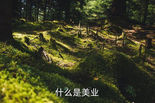 美業(yè)集團是什么行業(yè)，什么是美業(yè)