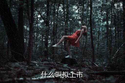 什么叫擬上市，什么是擬上市