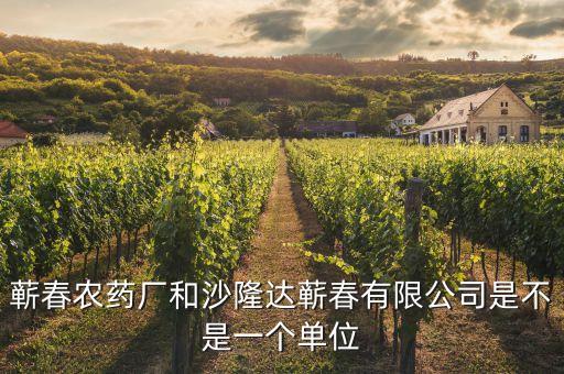 蘄春汪潮涌投資了什么，蘄春農(nóng)藥廠(chǎng)和沙隆達(dá)蘄春有限公司是不是一個(gè)單位