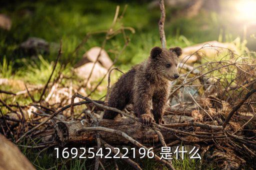 什么是服務(wù)商停用，為什么發(fā)郵件給自己的郵箱會(huì)出現(xiàn)收件人郵件地址被所在服務(wù)商暫時(shí)停