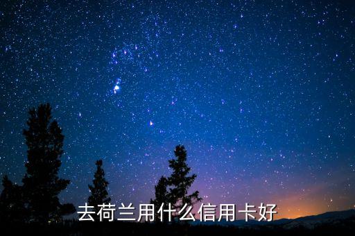 中國荷蘭兩地走要開張什么銀行卡，去歐洲旅游辦張那種的銀行卡方便呢