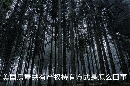 什么是共有產(chǎn)權(quán)產(chǎn)權(quán)模式，美國(guó)房屋共有產(chǎn)權(quán)持有方式是怎么回事