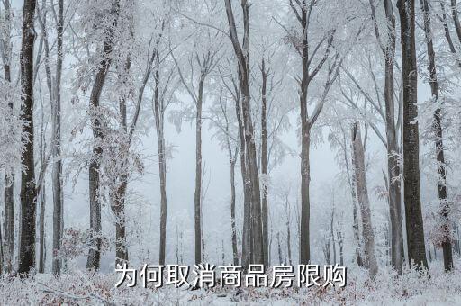 為什么要取消限購，為何又要取消房屋限購