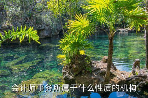 鄭商所期衍所屬于什么性質，會計師事務所屬于什么性質的機構