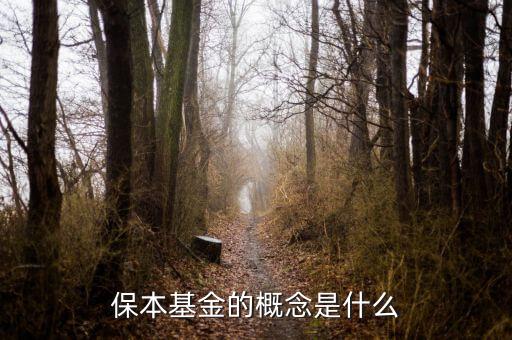 什么是資金錯配，什么是資金合并