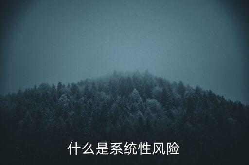 什么是系統(tǒng)性區(qū)域性風(fēng)險(xiǎn)，什么是系統(tǒng)性風(fēng)險(xiǎn)與區(qū)域性風(fēng)險(xiǎn)